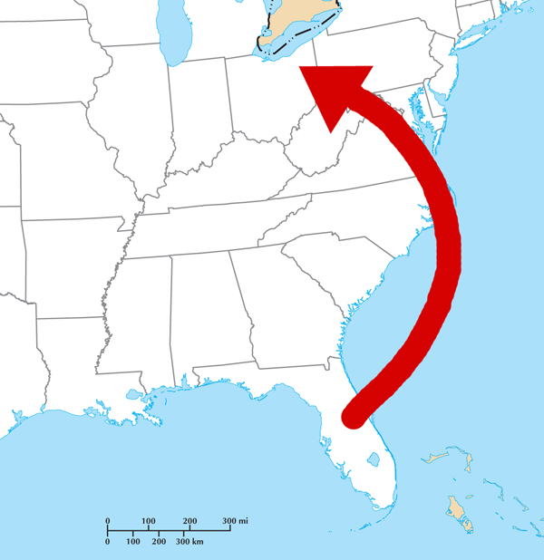 Map Cuban Treefrog Florida to Cleveland Ohio